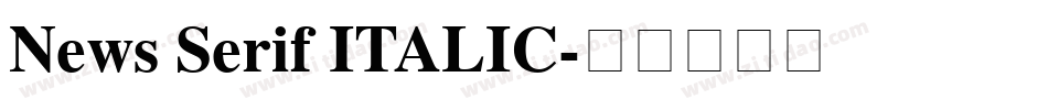 News Serif ITALIC字体转换